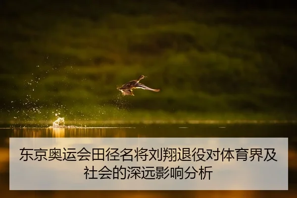 img_1791613068081_105_1_742.jpg